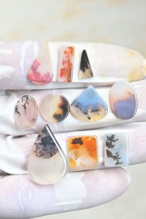 Natural Dendrite Quartz Gemstone Smooth Mix Shape Cabochon High Quality Loose Gemstones For Jewelry Making 12-25 MM Size 10 Pc V3964