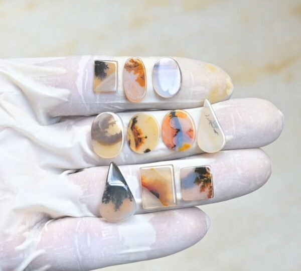 Natural Dendrite Quartz Gemstone Smooth Mix Shape Cabochon High Quality Loose Gemstones For Jewelry Making 10-18 MM Size 10 Pcs V3965