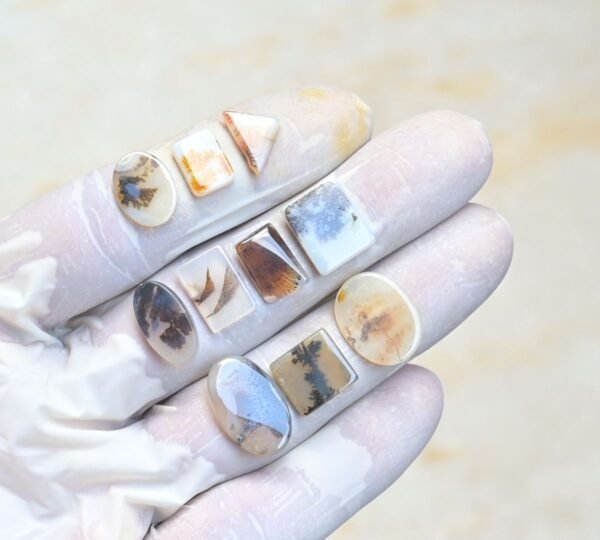 Natural Dendrite Quartz Gemstone Smooth Mix Shape Cabochon High Quality Loose Gemstones For Jewelry Making 11-18 MM Size 10 Pcs V3966 - Image 2