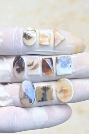 Natural Dendrite Quartz Gemstone Smooth Mix Shape Cabochon High Quality Loose Gemstones For Jewelry Making 11-18 MM Size 10 Pcs V3966
