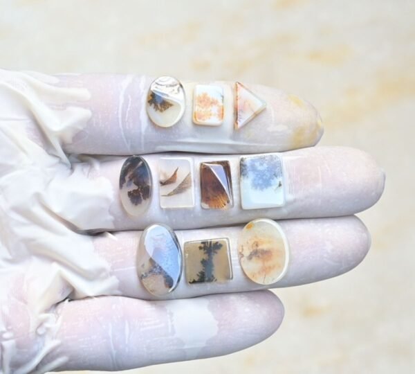 Natural Dendrite Quartz Gemstone Smooth Mix Shape Cabochon High Quality Loose Gemstones For Jewelry Making 11-18 MM Size 10 Pcs V3966