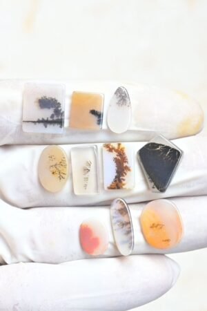 Natural Dendrite Quartz Gemstone Smooth Mix Shape Cabochon High Quality Loose Gemstones For Jewelry Making 11-19 MM Size 10 Pcs V3967