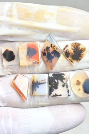Natural Scenic Agate Gemstone Smooth Mix Shape Cabochon High Quality Loose Gemstones For Jewelry Making 11-20 MM Size 8 Pcs V4003