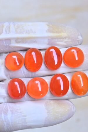 Natural Carnelian Gemstone Smooth Mix Shape Cabochon High Quality Loose Gemstones For Jewelry Making 13-16 MM Size 8 Pcs V4065