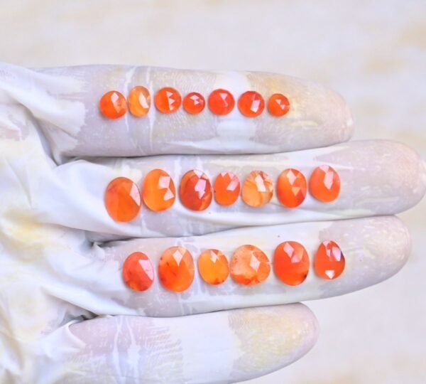Natural Carnelian Gemstone Rose Cut Fancy Shape Cabochon High Quality Loose Gemstones For Jewelry Making 5-10 MM Size 20 Pcs V4077
