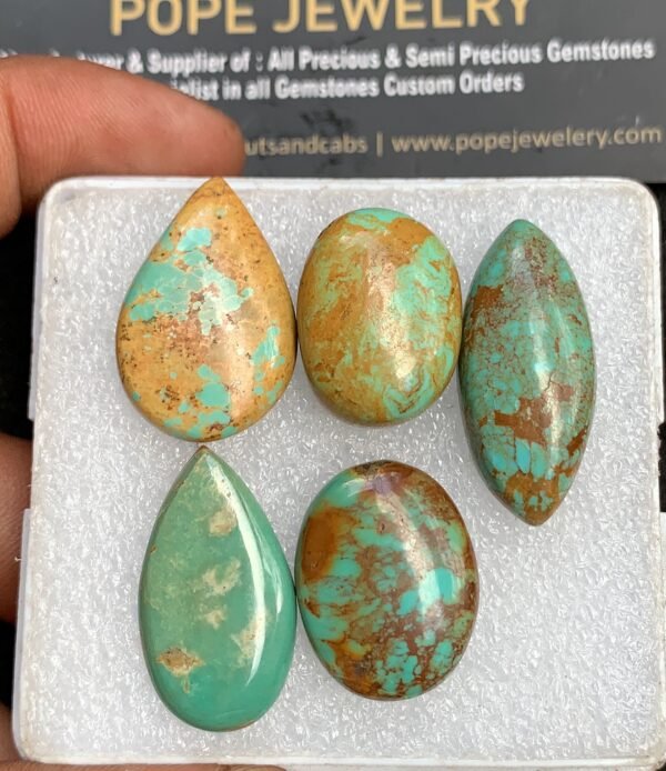 Natural Oyster Turquoise Gemstone Smooth Mix Shape Cabochon High Quality Loose Gemstones For Jewelry Making 21-30 MM 5 Pcs V3666