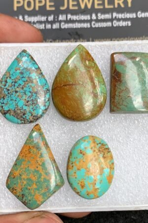 Natural Oyster Turquoise Gemstone Smooth Mix Shape Cabochon High Quality Loose Gemstones For Jewelry Making 20-27 MM 5 Pcs V3667
