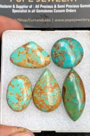 Natural Oyster Turquoise Gemstone Smooth Mix Shape Cabochon High Quality Loose Gemstones For Jewelry Making 17-31 MM 5 Pcs V3668