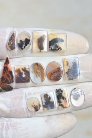 Natural Dendrite Agate Gemstone Smooth Mix Shape Cabochon High Quality Loose Gemstones For Jewelry Making 9-23 MM Size 14 Pcs V4216