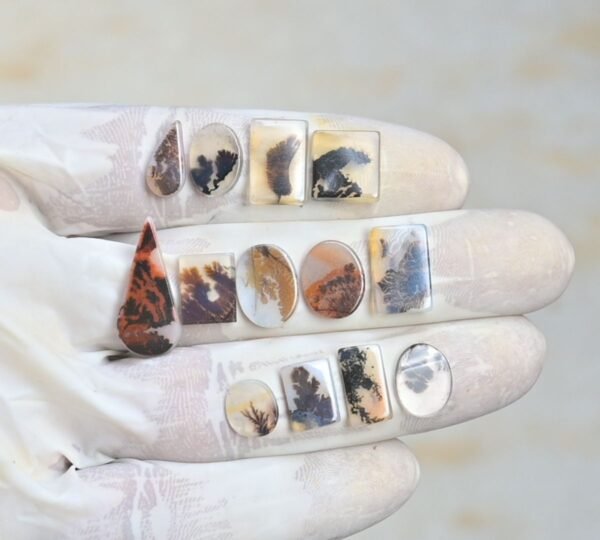 Natural Dendrite Agate Gemstone Smooth Mix Shape Cabochon High Quality Loose Gemstones For Jewelry Making 9-23 MM Size 14 Pcs V4216