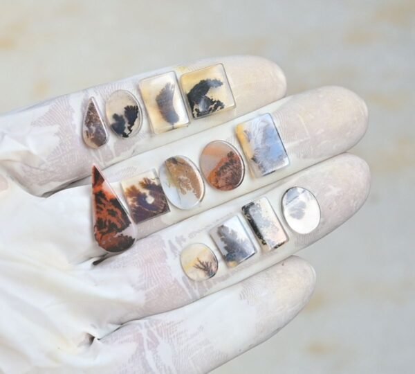 Natural Dendrite Agate Gemstone Smooth Mix Shape Cabochon High Quality Loose Gemstones For Jewelry Making 9-23 MM Size 14 Pcs V4216 - Image 2