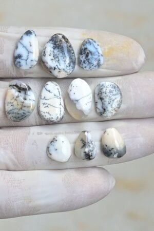 Natural Dendrite Opal Gemstone Smooth Fancy Shape Cabochon High Quality Loose Gemstones For Jewelry Making 11-17 MM Size 10 Pcs V4263