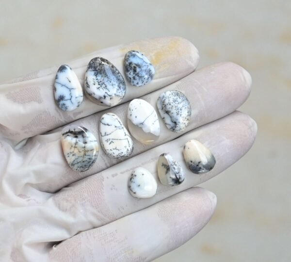 Natural Dendrite Opal Gemstone Smooth Fancy Shape Cabochon High Quality Loose Gemstones For Jewelry Making 11-17 MM Size 10 Pcs V4263 - Image 2