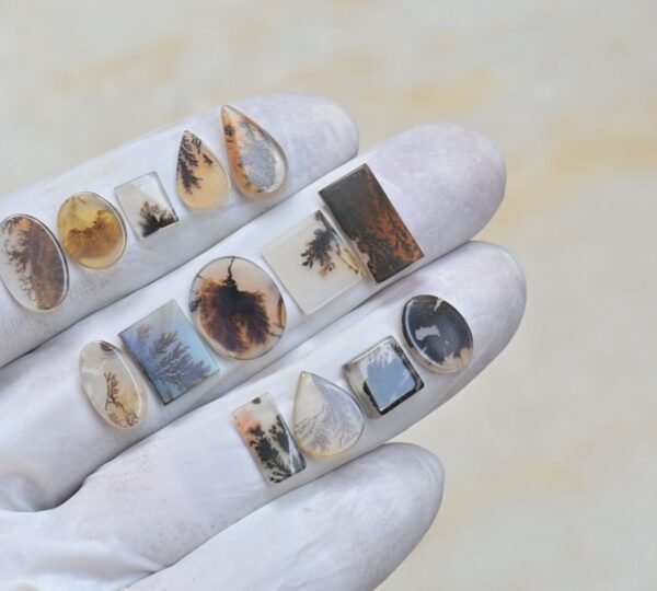 Natural Dendrite Agate Gemstone Smooth Mix Shape Cabochon High Quality Loose Gemstones For Jewelry Making 8-15 MM Size 14 Pcs V4135 - Image 2