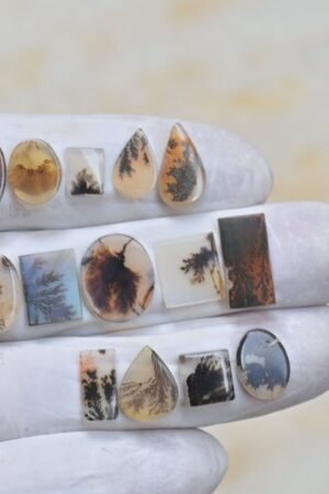 Natural Dendrite Agate Gemstone Smooth Mix Shape Cabochon High Quality Loose Gemstones For Jewelry Making 8-15 MM Size 14 Pcs V4135