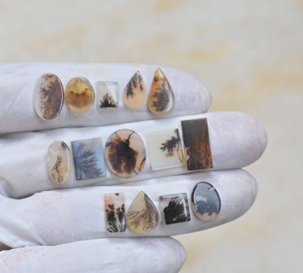 Natural Dendrite Agate Gemstone Smooth Mix Shape Cabochon High Quality Loose Gemstones For Jewelry Making 8-15 MM Size 14 Pcs V4135