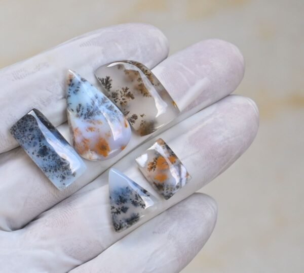 Natural Turkish Agate Gemstone Smooth Mix Shape Cabochon High Quality Loose Gemstones For Jewelry Making 14-16 MM Size 5 Pcs V4136 - Image 2