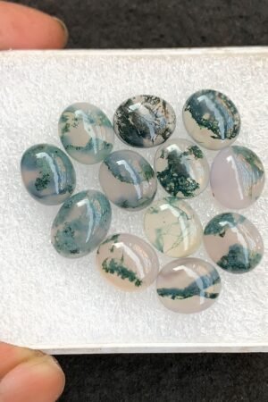 Natural Moss Agate Gemstone Smooth Oval Shape Cabochon High Quality Loose Gemstones For Jewelry Making 12-14 MM Size 12 Pcs V4561